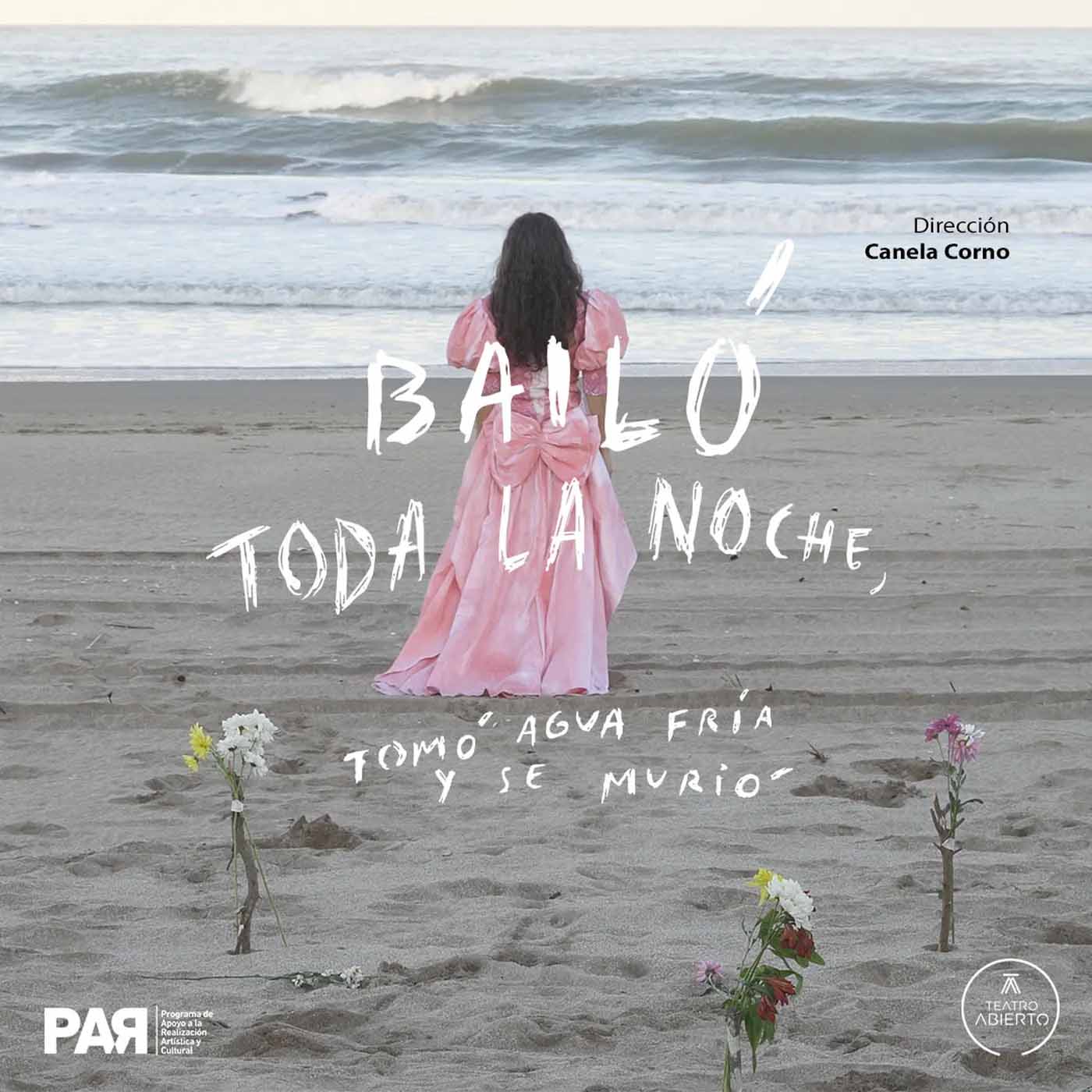 Bailó toda la noche obra